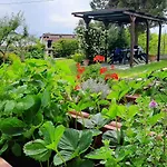 Feriehus Cascina Teresina Monferrato Piscina