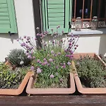 펜션 Cascina Teresina Monferrato Piscina 코르타조네
