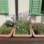 Cascina Teresina Monferrato Piscina * Cortazzone