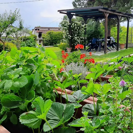 Feriehus Cascina Teresina Monferrato Piscina