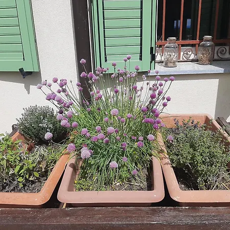 Casa vacanze Cascina Teresina Cortazzone